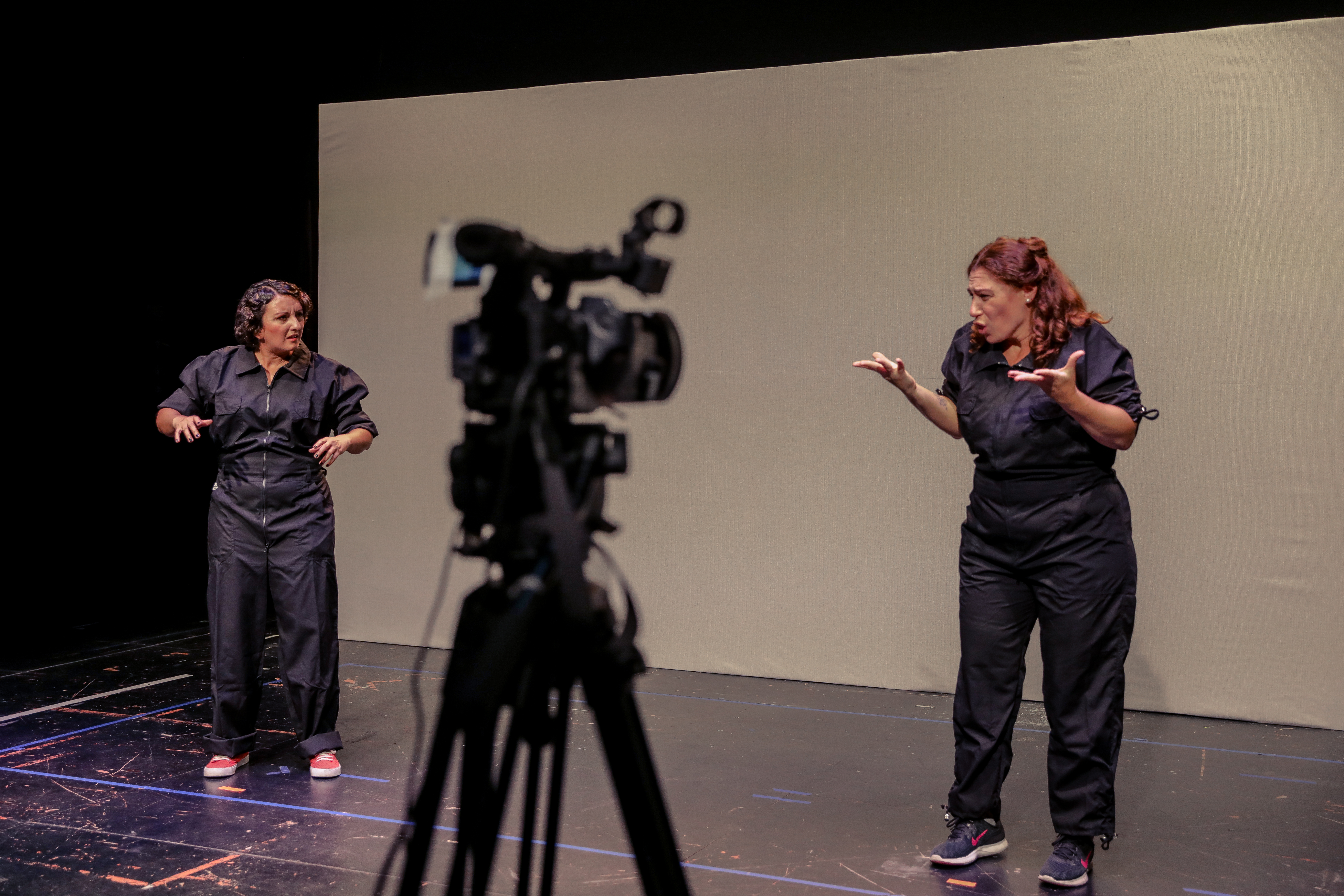 Accesibilidad cultural: comunicación e interpretación teatral en lengua de señas
