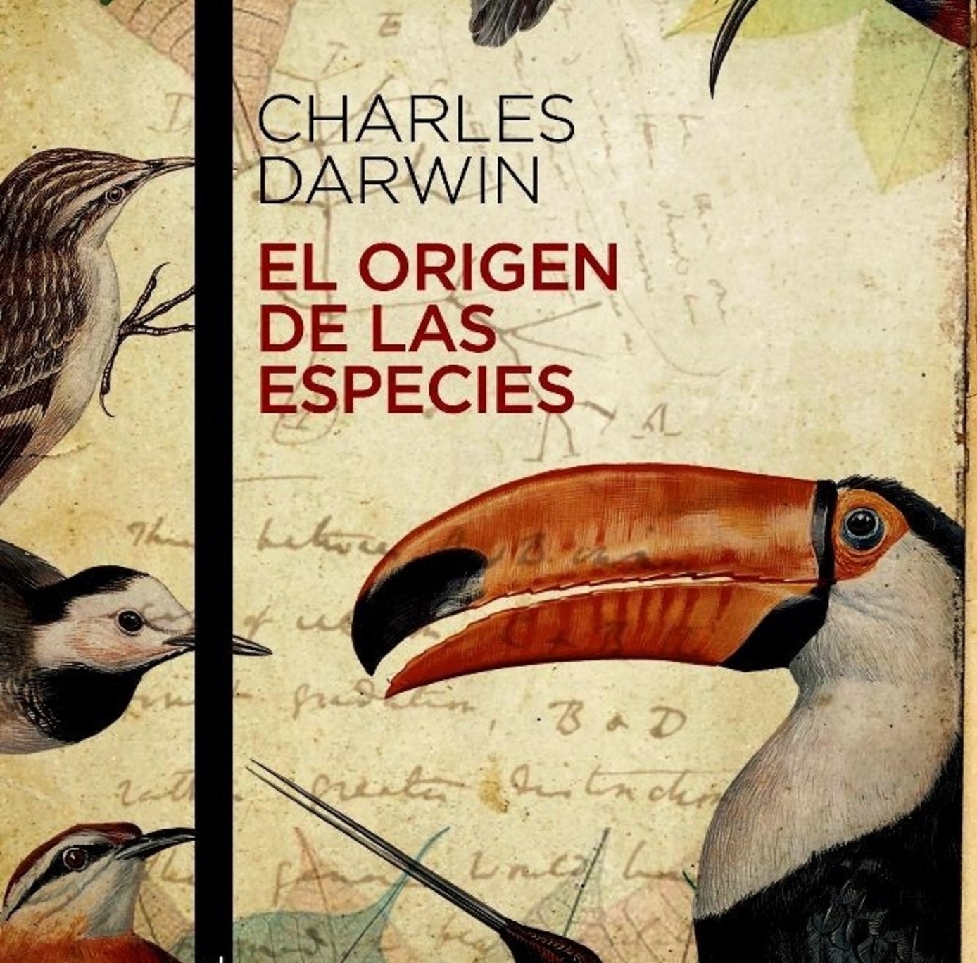 Charles Darwin, el naturalista que cambió el pensamiento | Ministerio de  Cultura