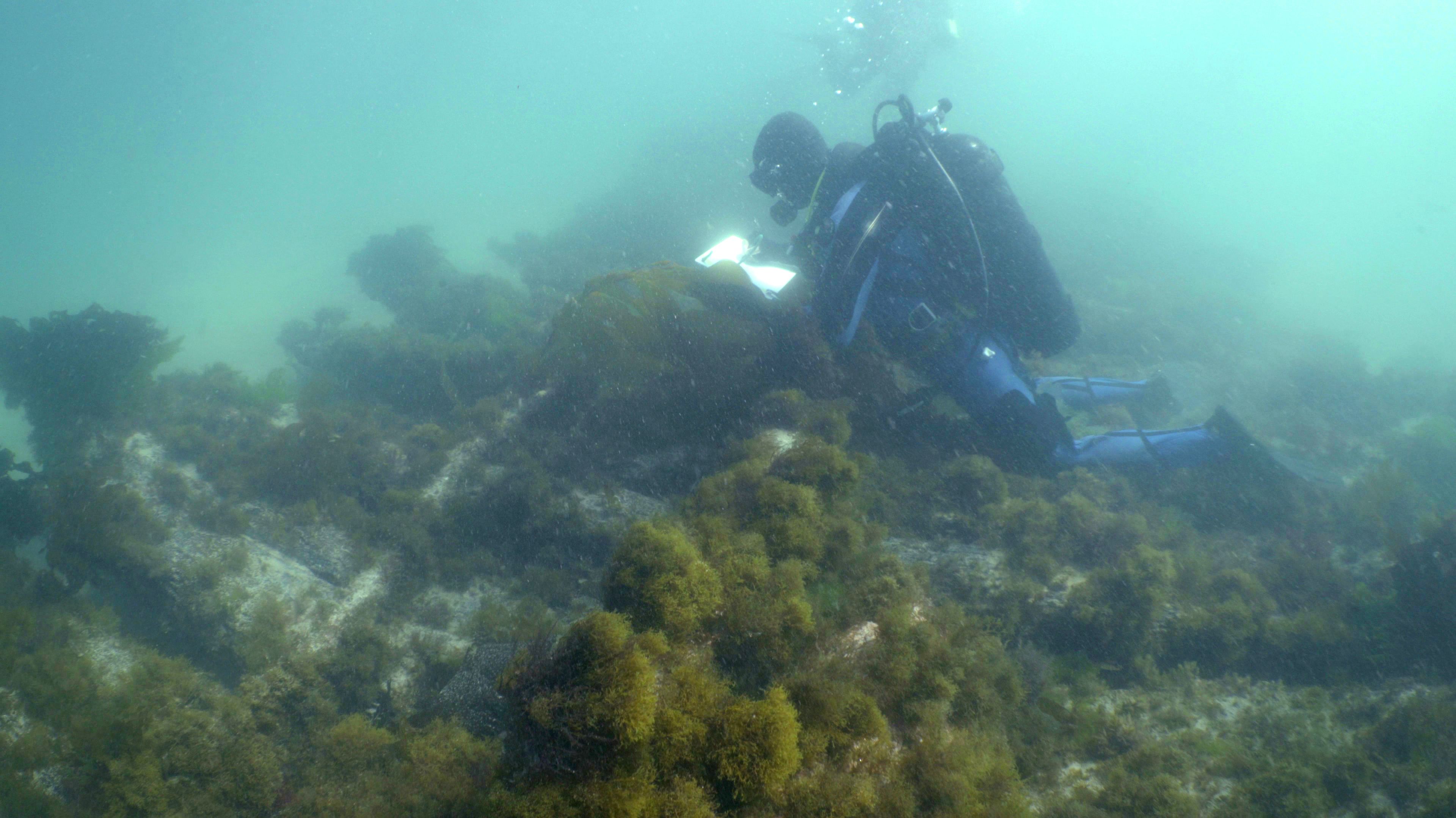 Cultura bajo el mar: en qué consiste el trabajo de los investigadores de patrimonio subacuático